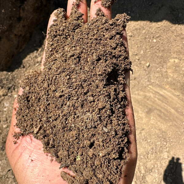 Topsoil Up close of topsoil