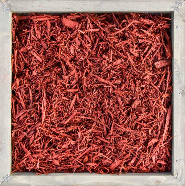 Red Colorized Mulch up close photo of shredded Colorized Red Mulch