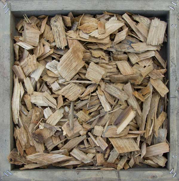 Wood Chips Light color Wood Chips