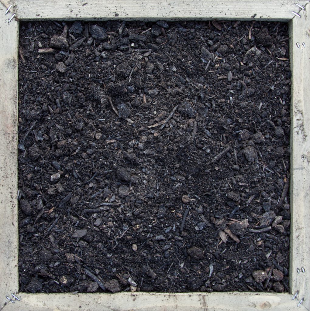 Mushroom Compost Black mushroom mulch
