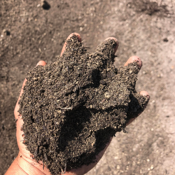 50/50 Mix Mushroom Compost/Screened Topsoil 50/50 Mix Mushroom Compost/Screened Topsoil